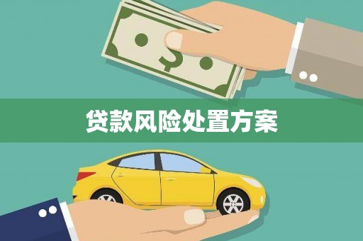 图木舒克贷款风险处置方案