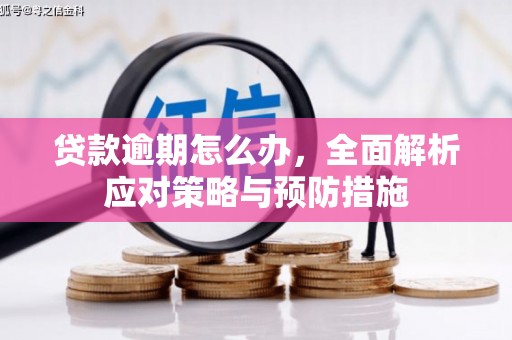 仁寿贷款逾期怎么办，全面解析应对策略与预防措施