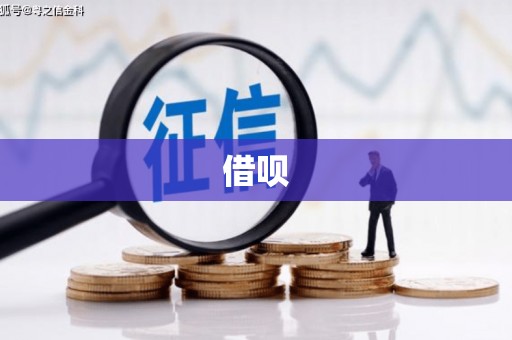 普湾新区借呗