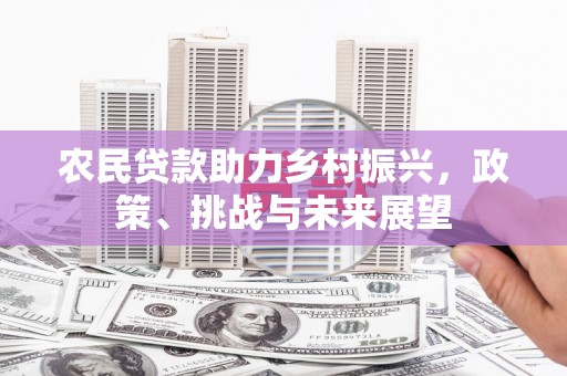 洋县农民贷款助力乡村振兴，政策、挑战与未来展望