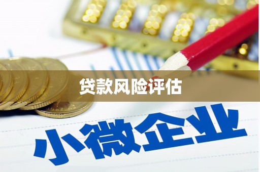 黄州贷款风险评估