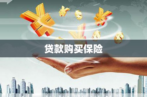 江苏贷款购买保险