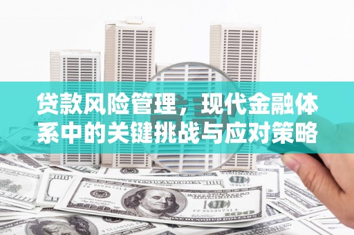 西林贷款风险管理，现代金融体系中的关键挑战与应对策略