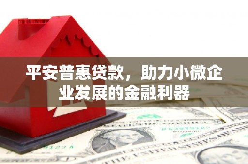 新田平安普惠贷款，助力小微企业发展的金融利器