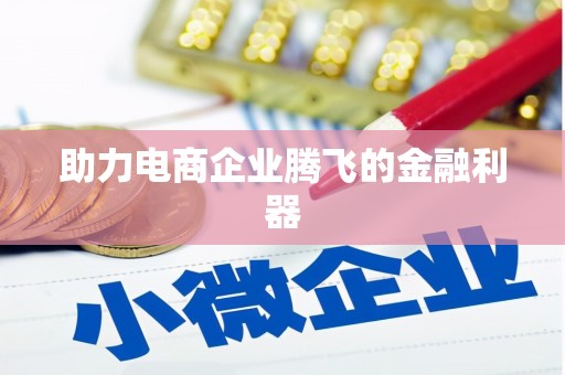 和田市助力电商企业腾飞的金融利器