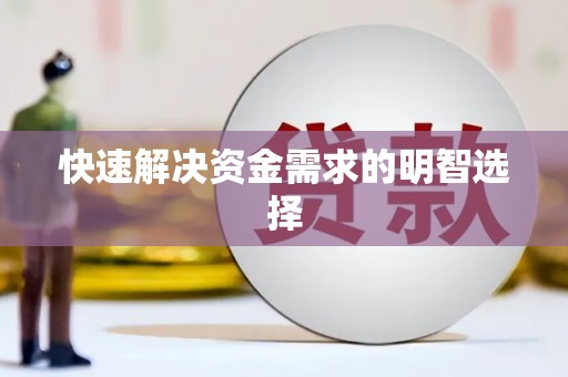 海原快速解决资金需求的明智选择