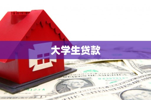 新龙大学生贷款