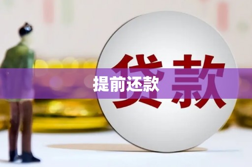 阿莲提前还款