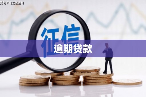 六龟逾期贷款