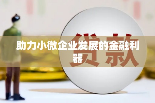 三湾助力小微企业发展的金融利器