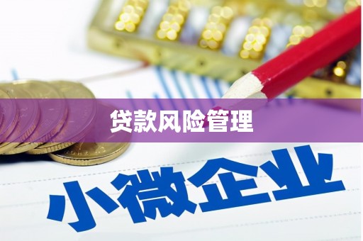 集贤贷款风险管理