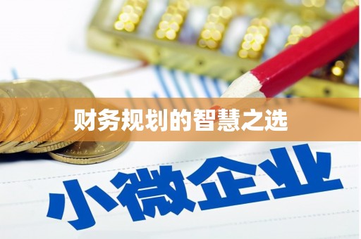 施甸财务规划的智慧之选